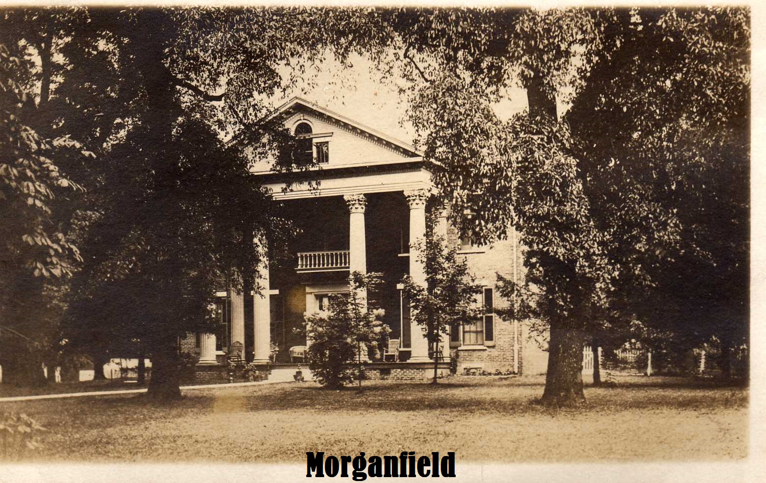 00 Morganfield paint